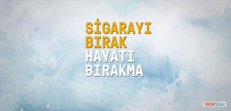 sigarabirakmakicinenetkili11birakabilirsinorgvideosu1572874138788x443